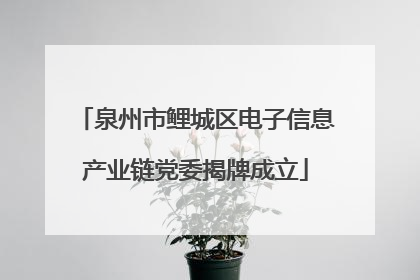 泉州市鲤城区电子信息产业链党委揭牌成立