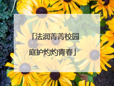 法润菁菁校园 庭护灼灼青春