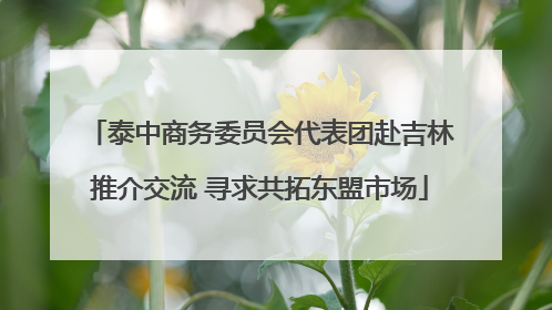 泰中商务委员会代表团赴吉林推介交流 寻求共拓东盟市场