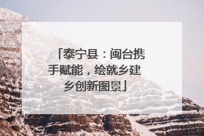 泰宁县：闽台携手赋能，绘就乡建乡创新图景
