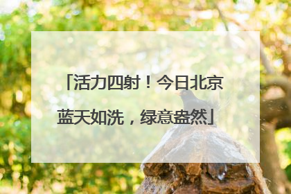活力四射！今日北京蓝天如洗，绿意盎然