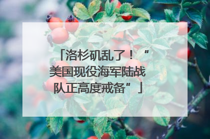 洛杉矶乱了！“美国现役海军陆战队正高度戒备”