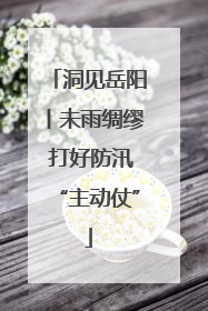 洞见岳阳丨未雨绸缪 打好防汛“主动仗”