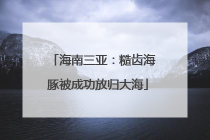 海南三亚：糙齿海豚被成功放归大海