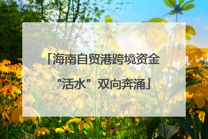 海南自贸港跨境资金“活水”双向奔涌