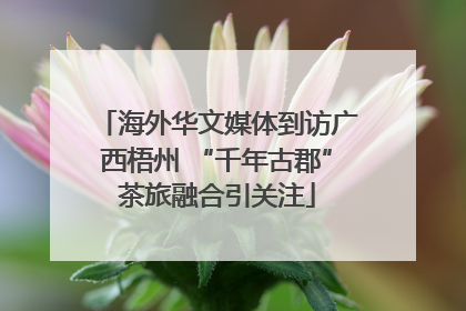 海外华文媒体到访广西梧州 “千年古郡”茶旅融合引关注