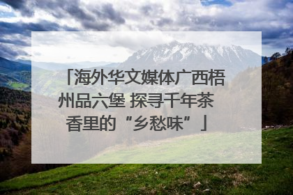 海外华文媒体广西梧州品六堡 探寻千年茶香里的“乡愁味”