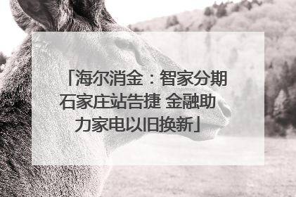 海尔消金：智家分期石家庄站告捷 金融助力家电以旧换新