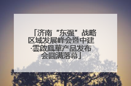 济南“东强”战略区域发展峰会暨中建·雲啟鳳華产品发布会圆满落幕