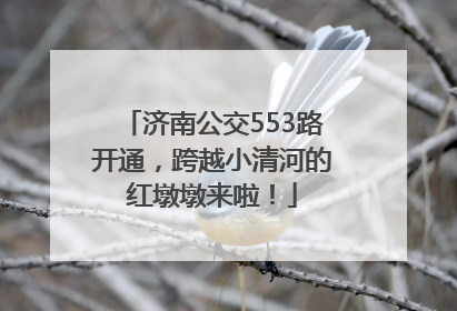 济南公交553路开通，跨越小清河的红墩墩来啦！