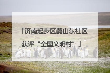 济南起步区鹊山东社区获评“全国文明村”