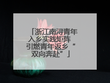 浙江南浔青年入乡实践矩阵 引燃青年返乡“双向奔赴”