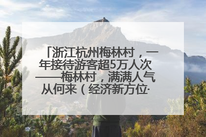 浙江杭州梅林村，一年接待游客超5万人次——梅林村，满满人气从何来（经济新方位·农村消费观察）