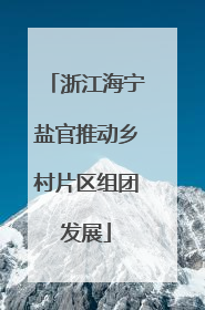 浙江海宁盐官推动乡村片区组团发展