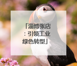 淄博张店：引领工业绿色转型