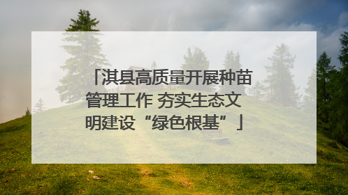 淇县高质量开展种苗管理工作 夯实生态文明建设“绿色根基”