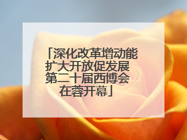 深化改革增动能 扩大开放促发展 第二十届西博会在蓉开幕