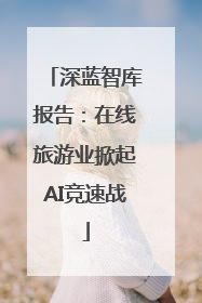 深蓝智库报告：在线旅游业掀起AI竞速战