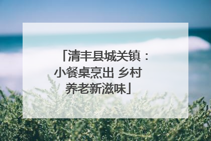 清丰县城关镇：小餐桌烹出 乡村养老新滋味