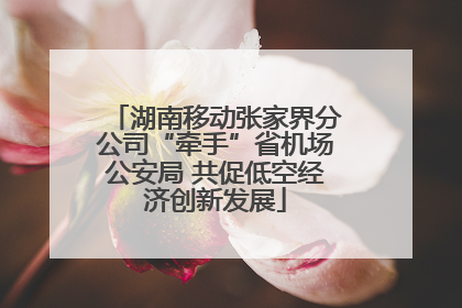 湖南移动张家界分公司“牵手”省机场公安局 共促低空经济创新发展