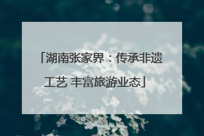 湖南张家界：传承非遗工艺 丰富旅游业态
