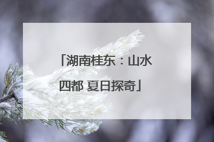 湖南桂东：山水四都 夏日探奇