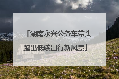湖南永兴公务车带头跑出低碳出行新风景