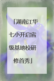 湖南江华七小开启省级基地校研修首秀