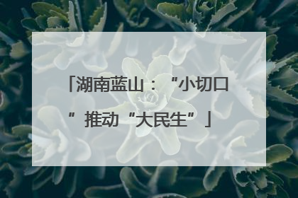 湖南蓝山：“小切口”推动“大民生”