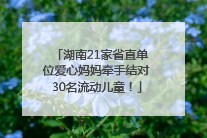 湖南21家省直单位爱心妈妈牵手结对30名流动儿童！
