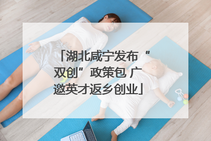 湖北咸宁发布“双创”政策包 广邀英才返乡创业