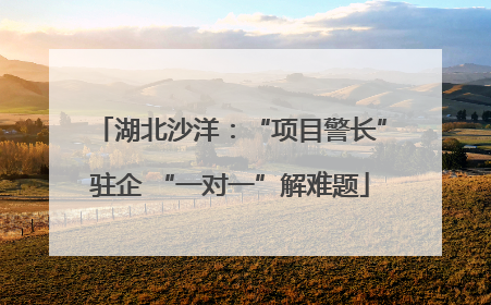 湖北沙洋：“项目警长”驻企 “一对一”解难题