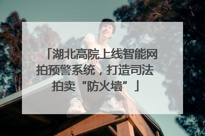 湖北高院上线智能网拍预警系统，打造司法拍卖“防火墙”
