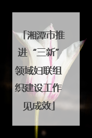 湘潭市推进“三新”领域妇联组织建设工作见成效