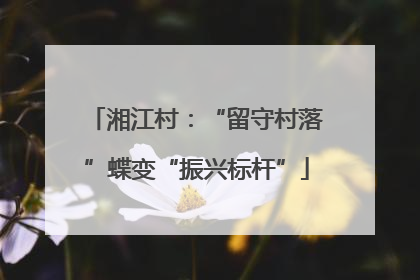 湘江村：“留守村落”蝶变“振兴标杆”