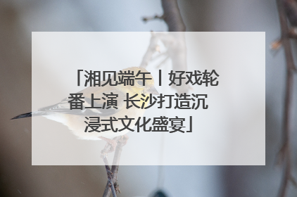 湘见端午丨好戏轮番上演 长沙打造沉浸式文化盛宴