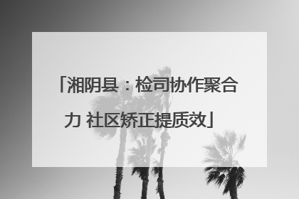 湘阴县：检司协作聚合力 社区矫正提质效