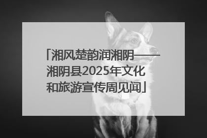湘风楚韵润湘阴——湘阴县2025年文化和旅游宣传周见闻