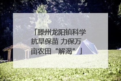 滕州龙阳镇科学抗旱保苗 力保万亩农田“解渴”