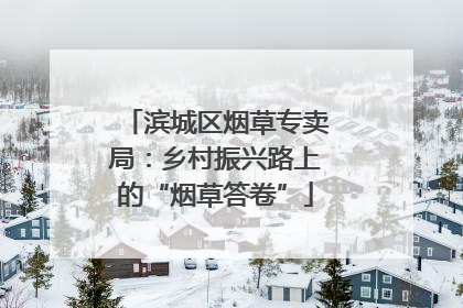 滨城区烟草专卖局：乡村振兴路上的“烟草答卷”