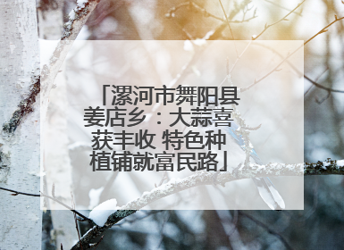 漯河市舞阳县姜店乡：大蒜喜获丰收 特色种植铺就富民路