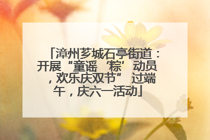 漳州芗城石亭街道：开展“童谣‘粽’动员，欢乐庆双节” 过端午，庆六一活动