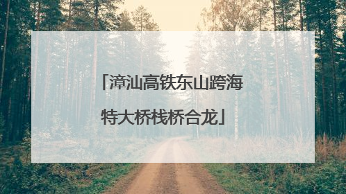 漳汕高铁东山跨海特大桥栈桥合龙