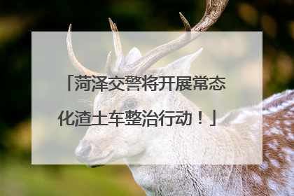 菏泽交警将开展常态化渣土车整治行动！