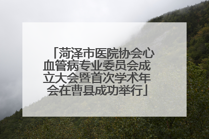 菏泽市医院协会心血管病专业委员会成立大会暨首次学术年会在曹县成功举行