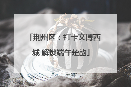 荆州区：打卡文博西城 解锁端午楚韵