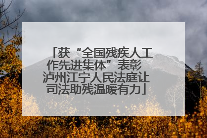 获“全国残疾人工作先进集体”表彰 泸州江宁人民法庭让司法助残温暖有力
