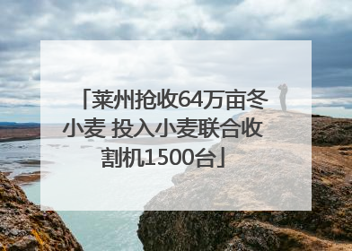 莱州抢收64万亩冬小麦 投入小麦联合收割机1500台