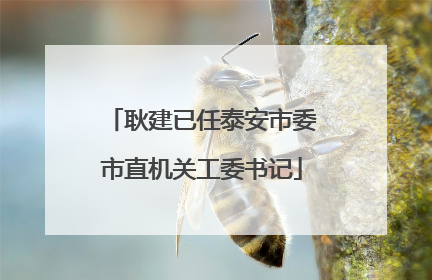 耿建已任泰安市委市直机关工委书记
