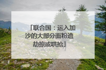 联合国：运入加沙的大部分面粉遭劫掠或哄抢
